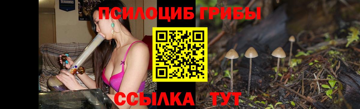 Ульяновск  Галлюциногенные грибы GOLDEN TEACHER  Вход с VPN  как найти   Галлюциногенные грибы Psilocybine cubensis 